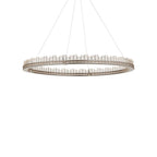 Currey And Company 9000-1221 Contemporary Silver Leaf, Contemporary Silver,Clear Pleiades Large Chandelier Image 5
