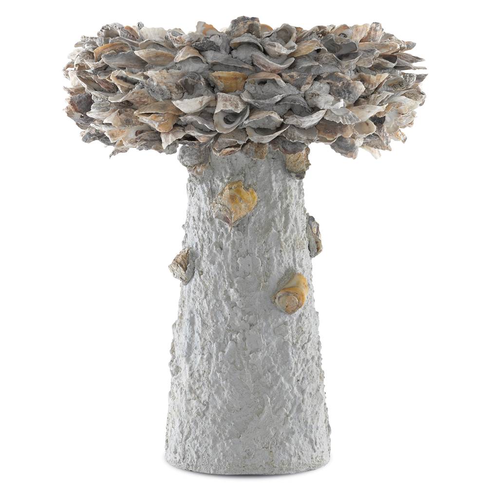 Currey And Company 1200-0053 Natural Oyster Shell Medium Bird Bath Image 1