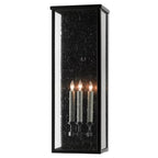 Currey And Company 5500-0039 Midnight Tanzy Large Outdoor Wall Sconce Image 1