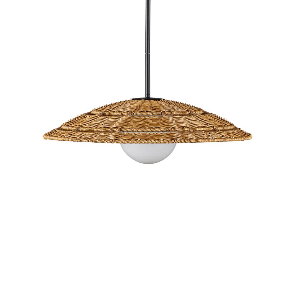 Currey And Company 9500-0017  Barbary Small Outdoor Pendant Image 4