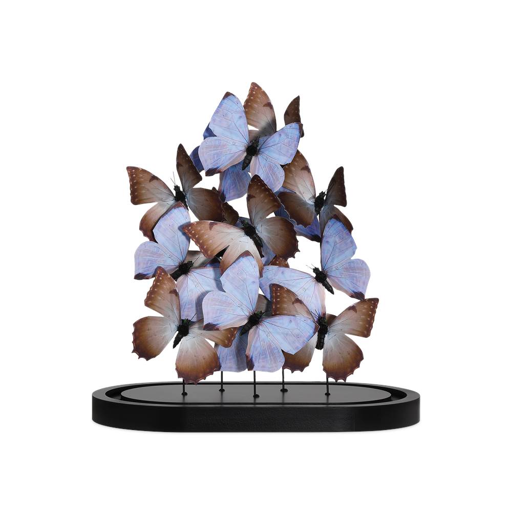 Currey And Company 1200-0977  Rue De Bac Lilac Large Butterflies Image 4