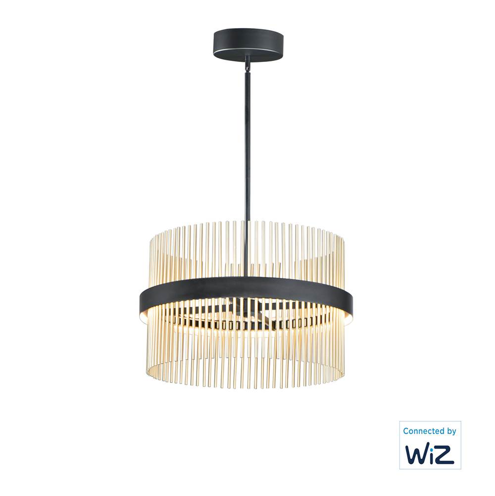 ET2 Chimes 24'' Led Pendant Wiz