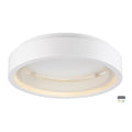 ET2 Icorona Foh Icorona Friends Of Hue Led Flush Mount