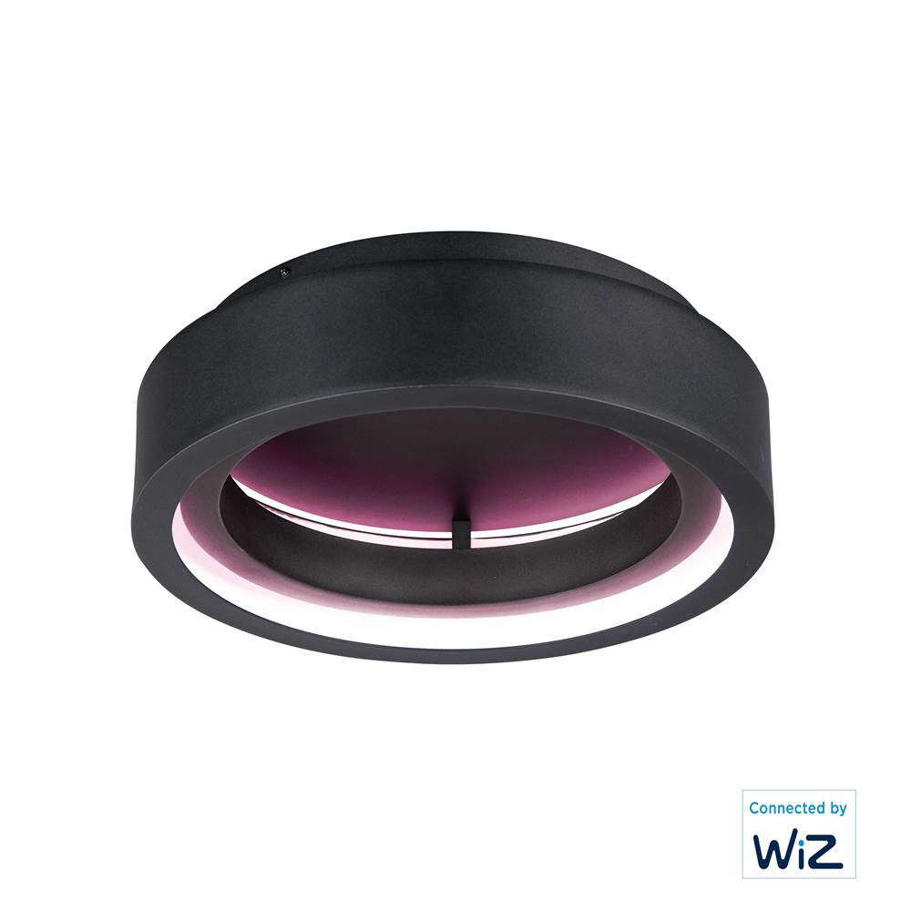 ET2 Icorona Wiz Icorona 18'' Led Surface Mount Wiz Color