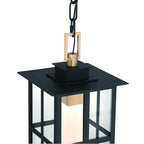 Eurofase Greyson, Outdoor, 16'', Brass-black Mix, Clear Glass
