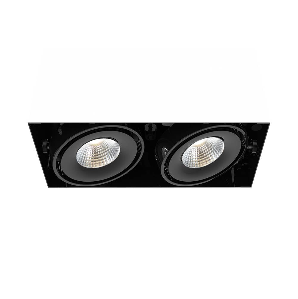 Eurofase  Multiple 15w 2 Lights Trimless 40 Degree Gimbal 4000k Black