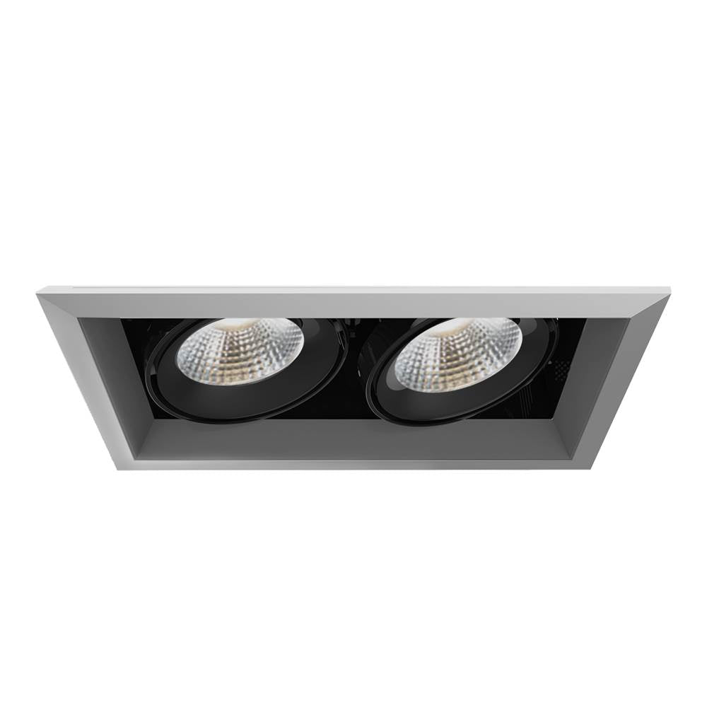 Eurofase  Multiple 26w 2 Lights Trim 20 Degree Gimbal 3000k Platinum/black