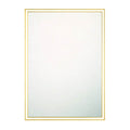 Eurofase 47565-012 Anodized Gold Nixon, Mirror , 30'' X 42'', Anodized Gold Image 1
