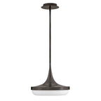 Fredrick Ramond FR35047BX Black Oxide Medium Led Convertible Pendant Image 7