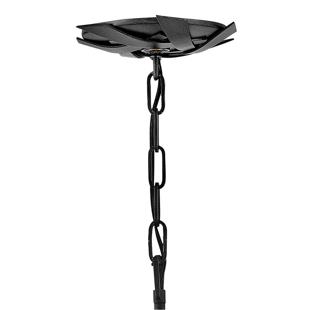 Fredrick Ramond FR40904BGR Brushed Graphite Medium Orb Image 4