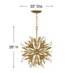 Fredrick Ramond Vida Medium Orb