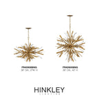 Fredrick Ramond FR40905BNG Burnished Gold Chandelier Vida Image 2