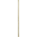Fredrick Ramond Stem Accessory Stem