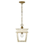 Golden Lighting Haiden Golden Lighting Haiden 1-light Pendant In Burnished Chestnut
