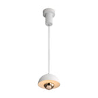 Golden Lighting Vintra Wry Lighting Vintra Integrated Led Pendant In Dusty Rose