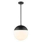 Golden Lighting Dixon Golden Lighting Dixon 1-light 12in Pendant And Matte Black Shade And Opal Glass