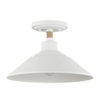 Golden Lighting Journey Golden Lighting Journey 1-light Semi-flush Mount In Natural Black