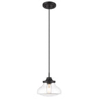 Golden Lighting Nash Wry Lighting Nash 1-light Pendant In Matte Black