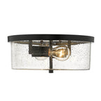 Golden Lighting Rayne Wry Lighting Rayne 2-light Flush Mount In Matte Black