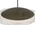 Golden Lighting 5865-L BT-CLR BLACK SLATE Golden Lighting Coral Bloom Integrated Led 31in Pendant In Black Slate With Pressed Clear Glass Image 4