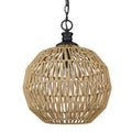 Golden Lighting 6933-M BLK-NR Matte Black Golden Lighting Florence 1-light Pendant In Matte Black Image 1