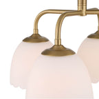 Golden Lighting 6954-4SF BCB-OP Brushed Champagne Brass Golden Lighting Dorinda 4-light Semi-flush Mount In Brushed Champagne Brass Image 3