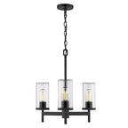 Golden Lighting Winslett Golden Lighting Winslett 3-light Chandelier In Matte Black