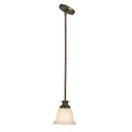 Golden Lighting Heartwood Wry Lighting Heartwood 1-light Pendant In Burnt Sienna