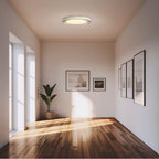 Golden Lighting 9518-20 SNW-SMK Sand White Wry Lighting Ondulada Integrated Led 20in Flush Mount In Sand White And Smoky Acrylic Image 3