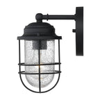 Golden Lighting Seaport Golden Lighting Seaport 1-light 5in Outdoor Wall In Natural Black