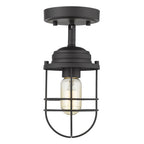 Golden Lighting Seaport Golden Lighting Seaport 1-light Semi-flush Mount In Brushed Champagne Brass
