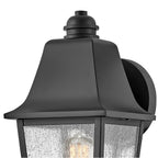 Hinkley Lighting 10010BK Black Small Wall Mount Lantern Image 5