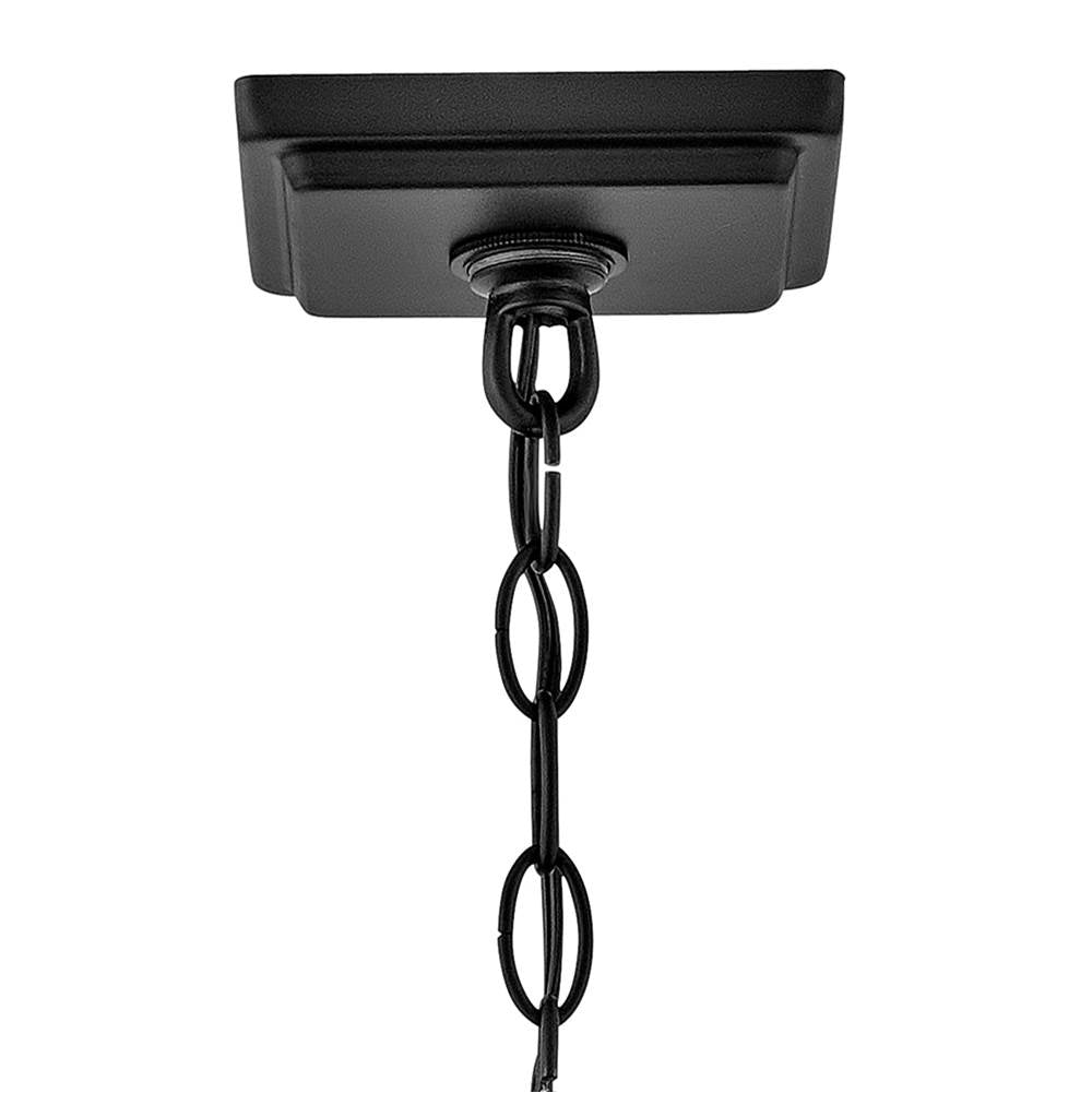 Hinkley Lighting 10012BK Black Medium Hanging Lantern Image 6
