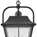 Hinkley Lighting 10012BK Black Medium Hanging Lantern Image 5