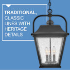 Hinkley Lighting 10012BK Black Medium Hanging Lantern Image 2