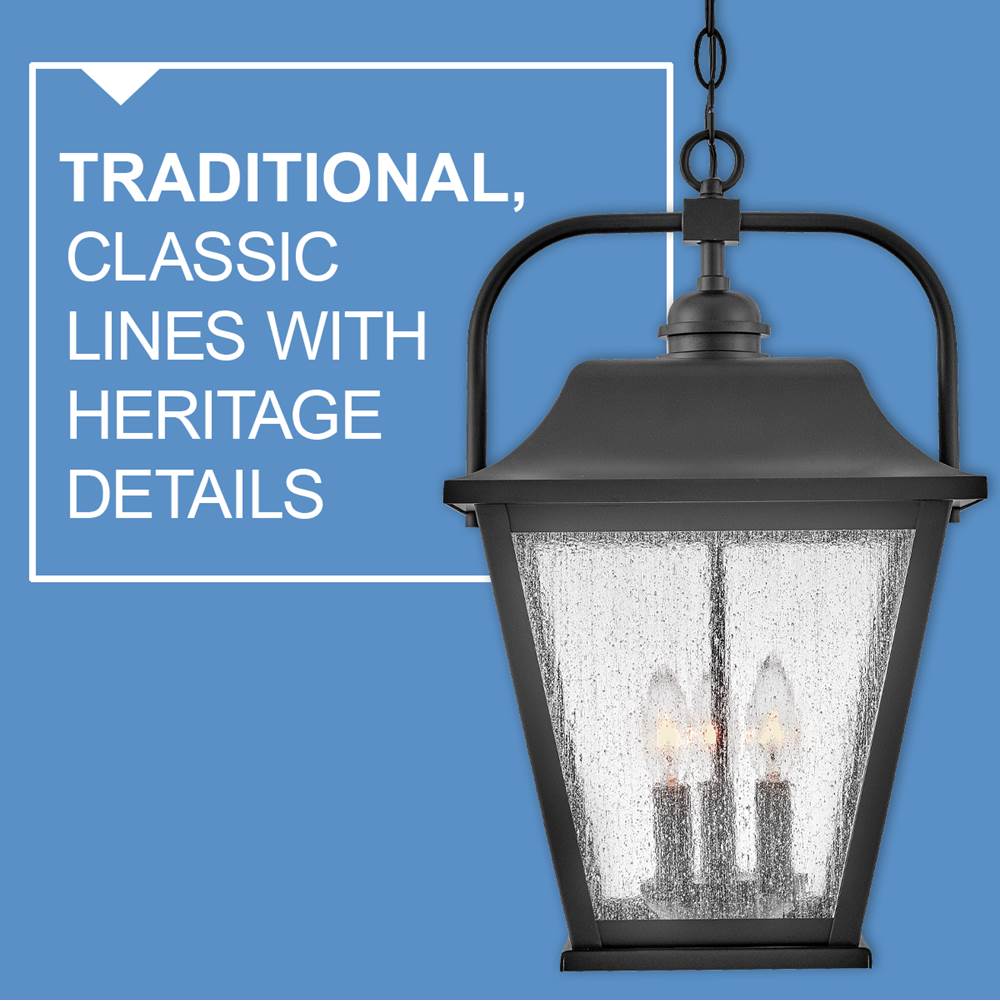 Hinkley Lighting 10012BK Black Medium Hanging Lantern Image 2