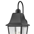Hinkley Lighting 10015BK Black Large Wall Mount Lantern Image 5