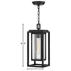 Hinkley Lighting 1002BK Black Medium Hanging Lantern Image 5