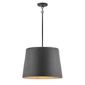 Hinkley Lighting 11154BK Black Medium Hanging Pendant Image 1