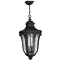 Hinkley Lighting 1312MB Museum Black Large Hanging Lantern Image 1