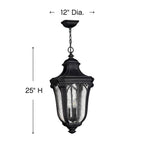 Hinkley Lighting Trafalgar Large Hanging Lantern