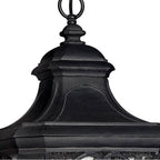 Hinkley Lighting 1312MB Museum Black Large Hanging Lantern Image 2