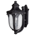 Hinkley Lighting 1314MB Museum Black Small Wall Mount Lantern Image 1