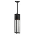 Hinkley Lighting 1322BK Black Medium Hanging Lantern Image 1