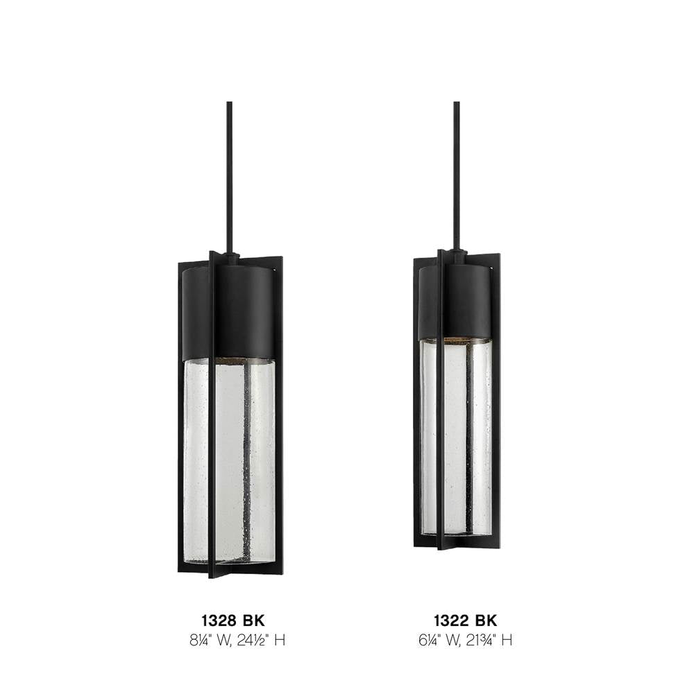 Hinkley Lighting 1322BK Black Medium Hanging Lantern Image 3
