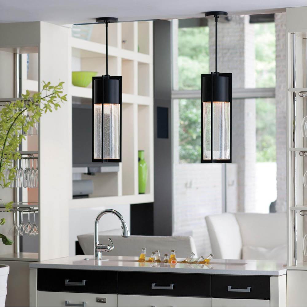 Hinkley Lighting 1328BK Black Large Hanging Lantern Image 5