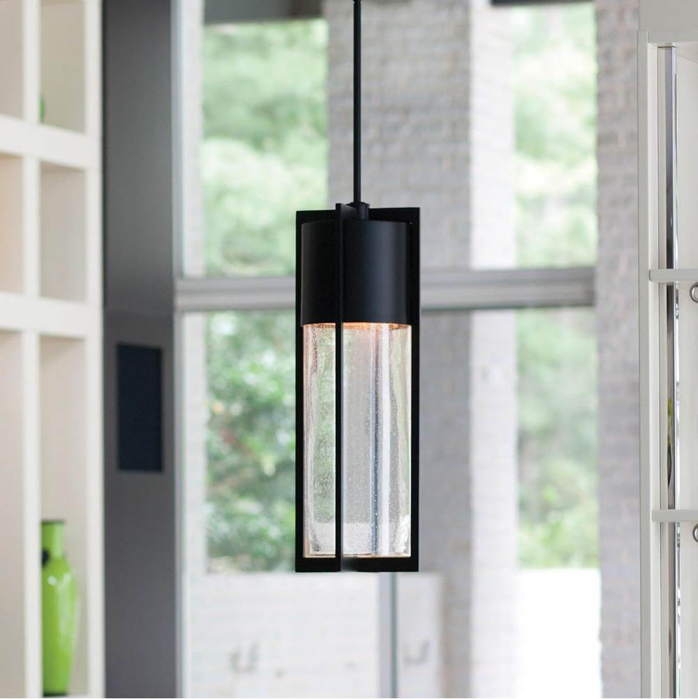 Hinkley Lighting 1328BK Black Large Hanging Lantern Image 4