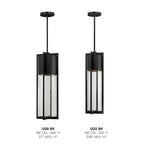 Hinkley Lighting 1328BK Black Large Hanging Lantern Image 2