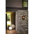 Hinkley Lighting 13303BK Black Large Wall Mount Lantern Image 6