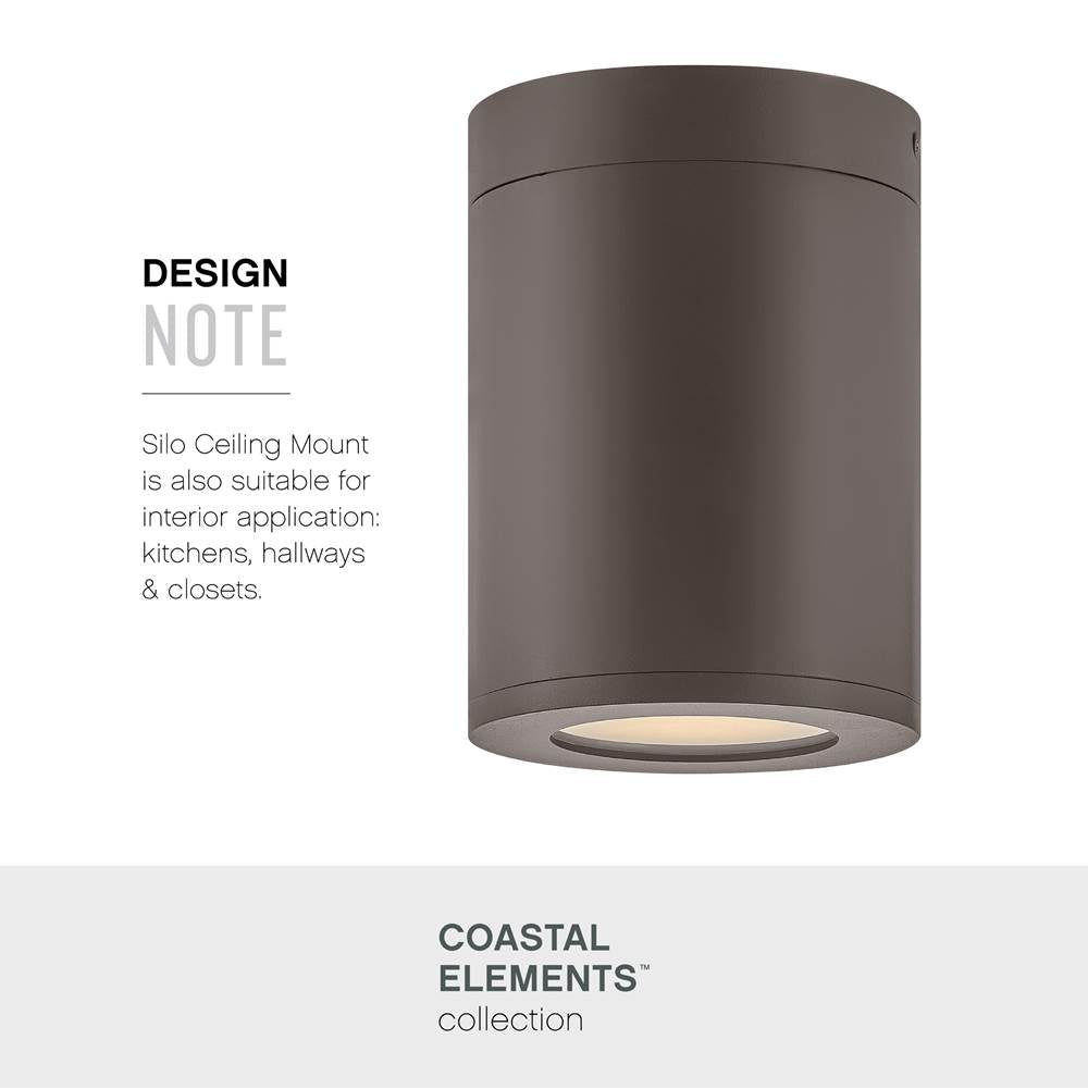 Hinkley Lighting Coastal Elements Small Flush Mount